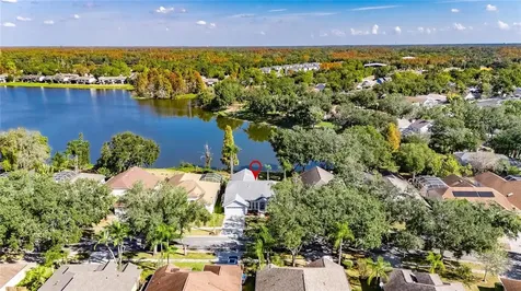 16604 Lake Heather Drive Tampa FL 33618