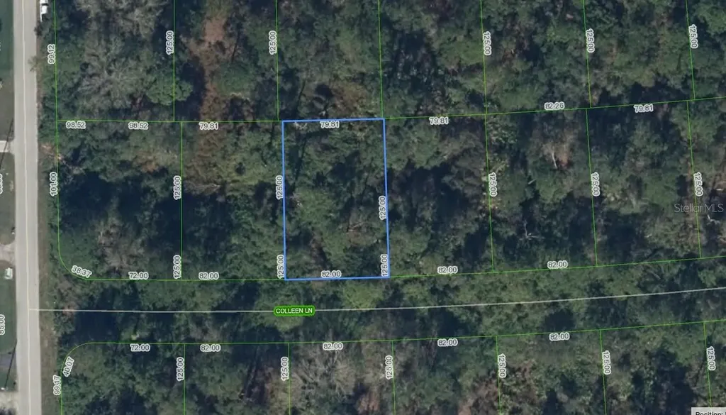 208 Coleen Lane Lake Placid FL 33852