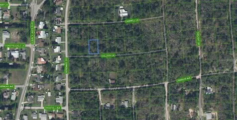 208 Coleen Lane Lake Placid FL 33852