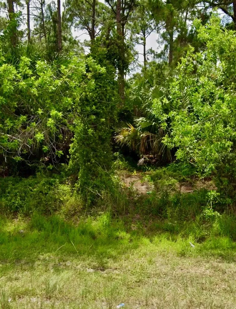 2956 SW Moody Terrace Port St Lucie FL 34953