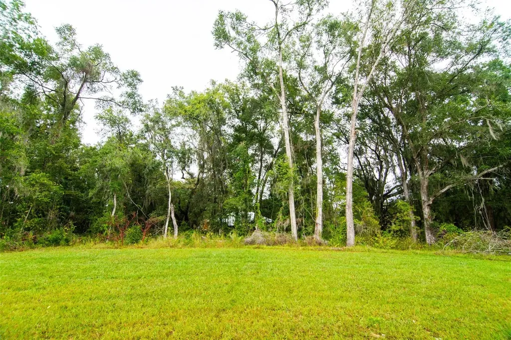 13215 SW 41st Court Ocala FL 34473