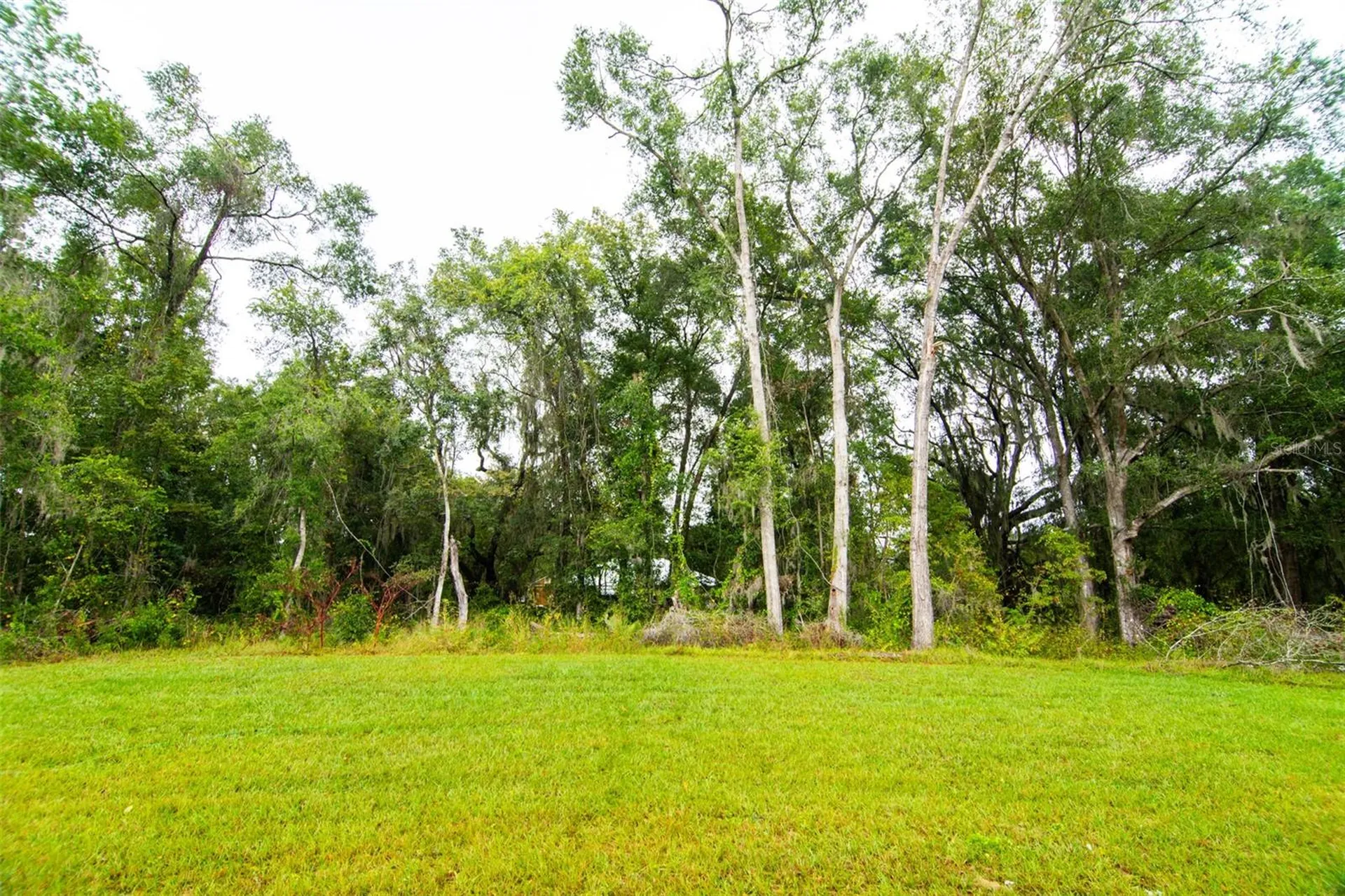 13215 SW 41st Court Ocala FL 34473
