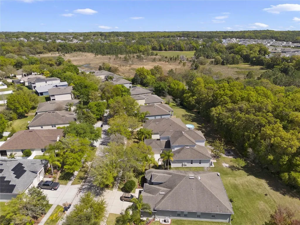5270 Rishley Run Way Mount Dora FL 32757