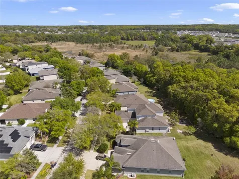 5270 Rishley Run Way Mount Dora FL 32757
