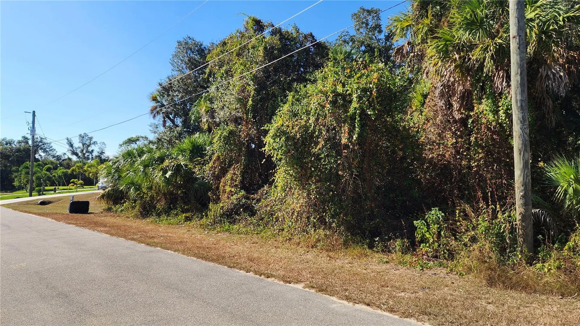 Andy Road North Port FL 34288