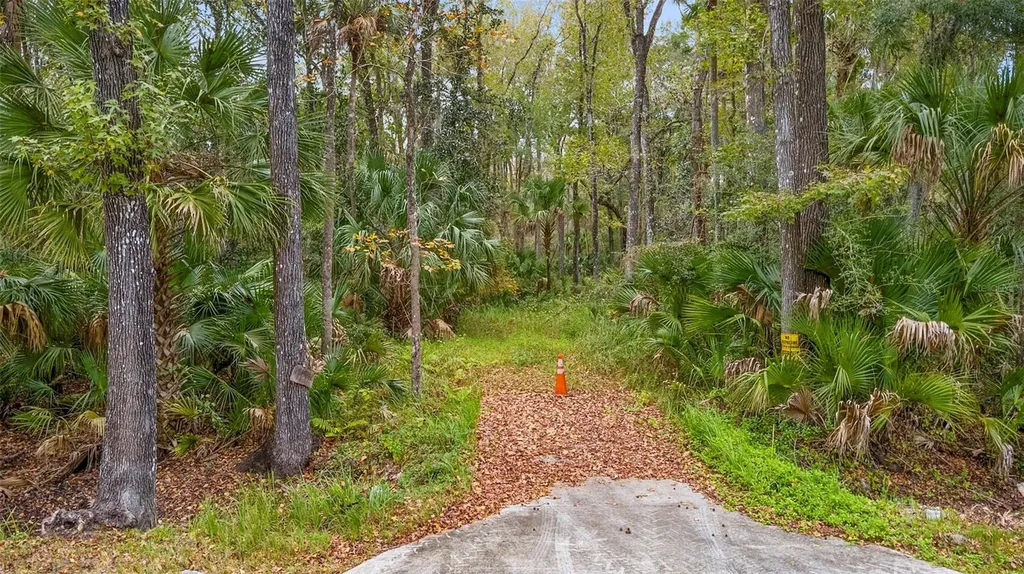 1100 Maytown Road Oak Hill FL 32759
