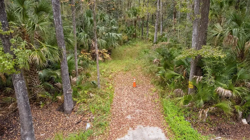 1100 Maytown Road Oak Hill FL 32759
