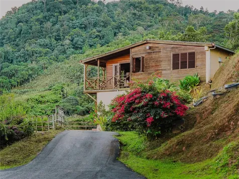 Sr 526 Bosque Tanama Adjuntas PR 00601