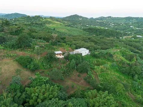 Sr 526 Bosque Tanama Adjuntas PR 00601