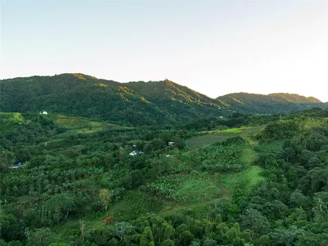 Sr 526 Bosque Tanama Adjuntas PR 00601