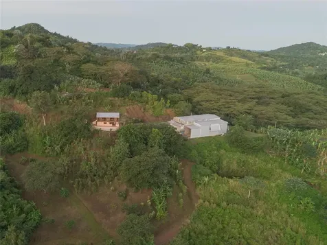 Sr 526 Bosque Tanama Adjuntas PR 00601