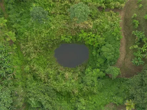 Sr 526 Bosque Tanama Adjuntas PR 00601