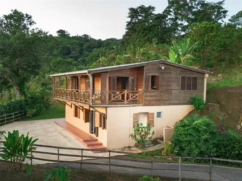 Sr 526 Bosque Tanama Adjuntas PR 00601