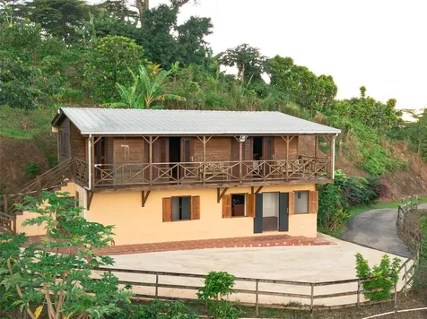 Sr 526 Bosque Tanama Adjuntas PR 00601