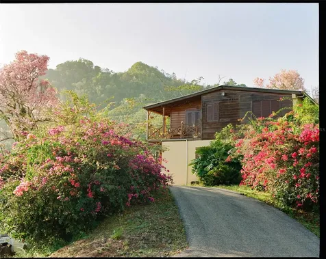 Sr 526 Bosque Tanama Adjuntas PR 00601