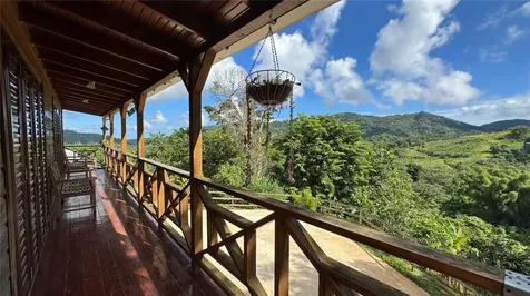 Sr 526 Bosque Tanama Adjuntas PR 00601