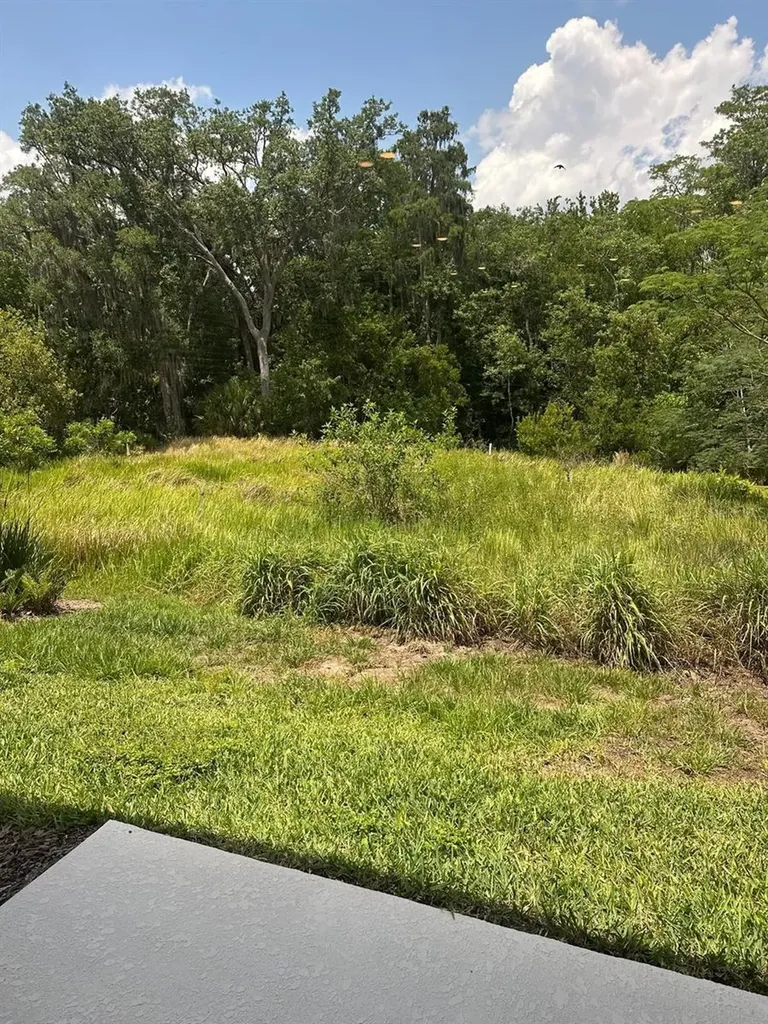 4669 Sparkling Shell Avenue Kissimmee FL 34746