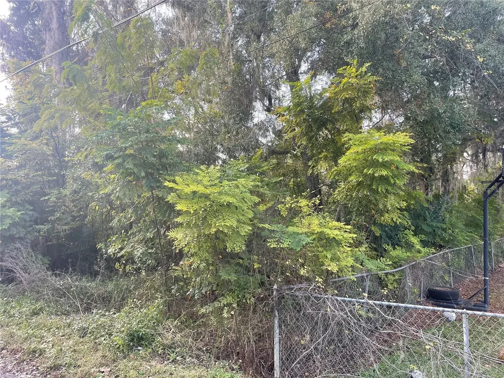 131 Lake Mamie Road Deland FL 32724