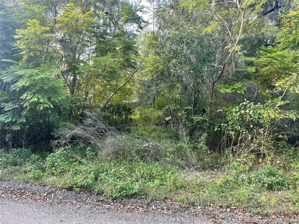 131 Lake Mamie Road Deland FL 32724