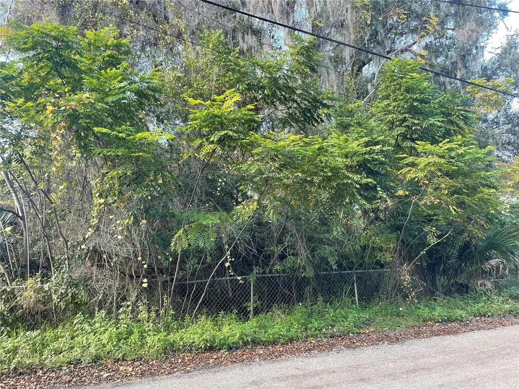 131 Lake Mamie Road Deland FL 32724