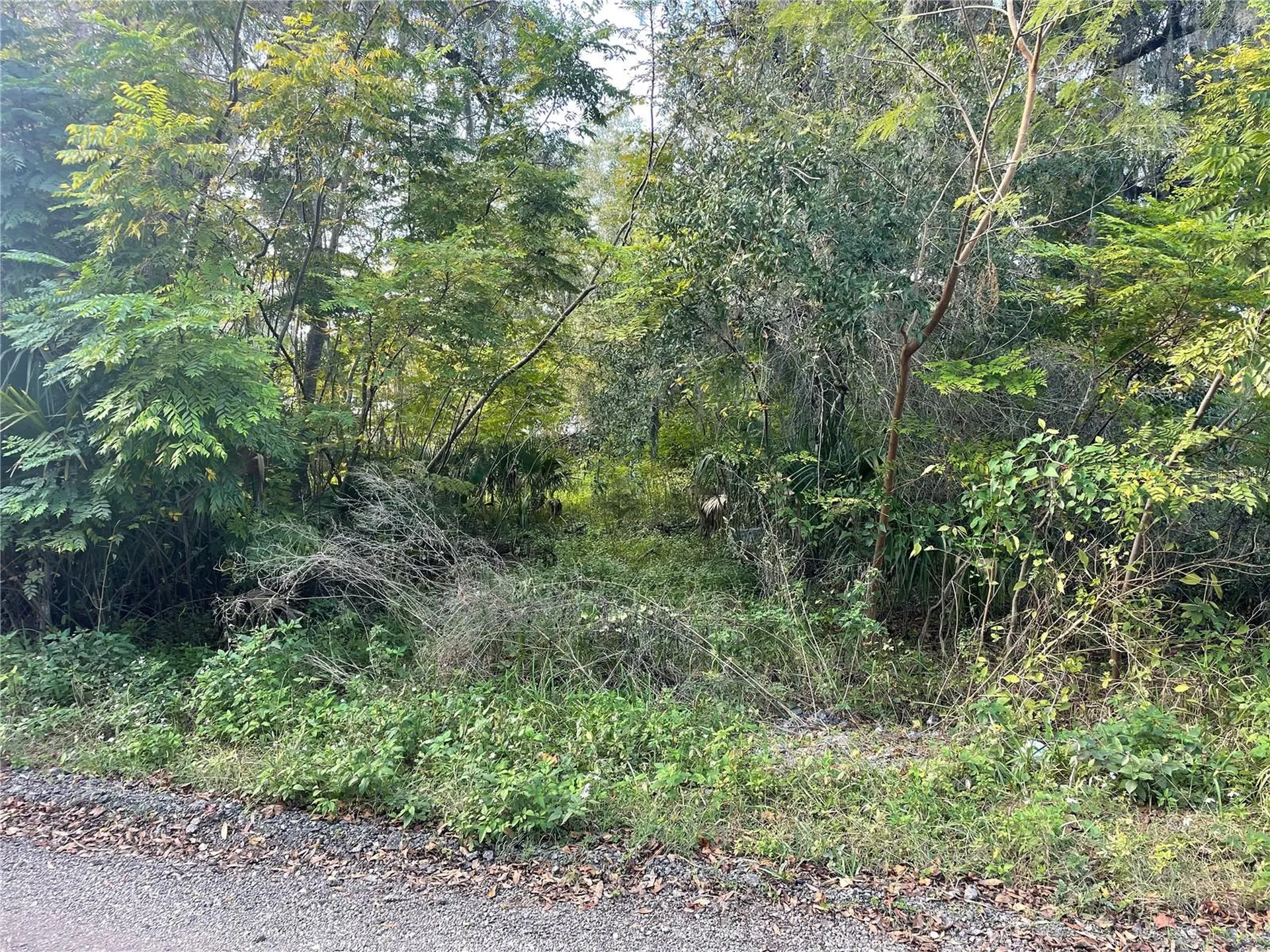 131 Lake Mamie Road Deland FL 32724