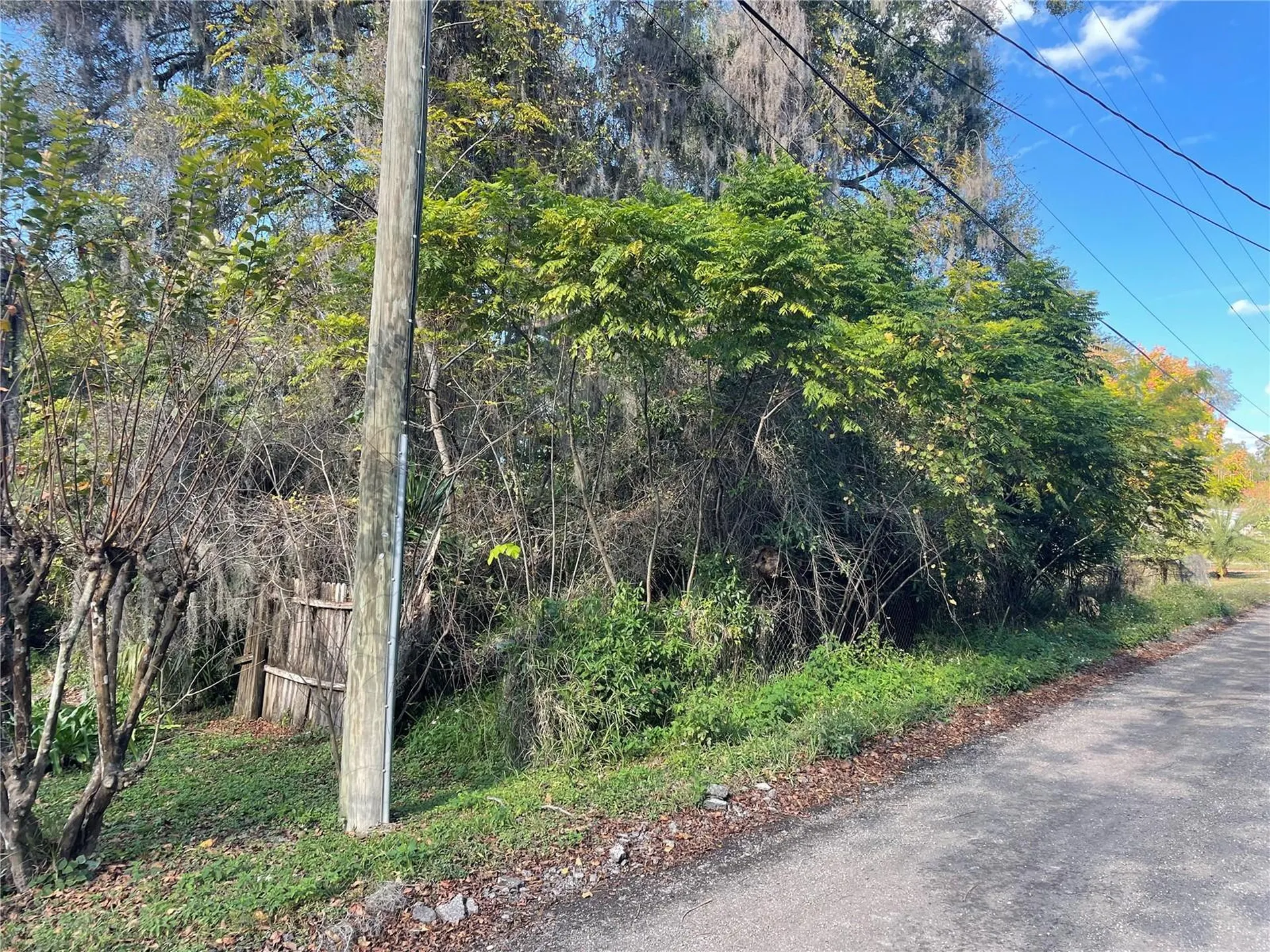 131 Lake Mamie Road Deland FL 32724