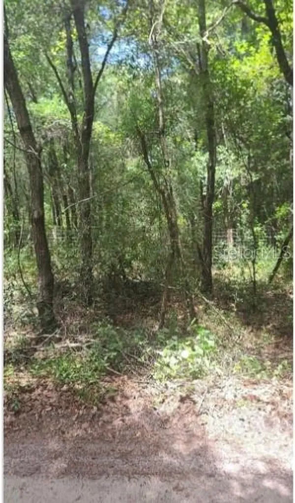 Southwest 156th Place Dunnellon FL 34432