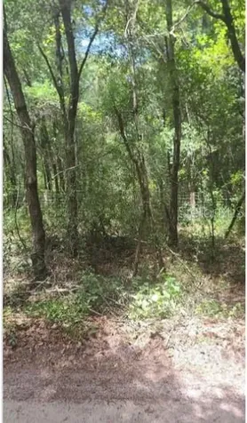 Southwest 156th Place Dunnellon FL 34432