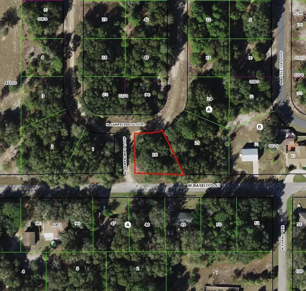 8549 N San Filippo Loop Crystal River FL 34428