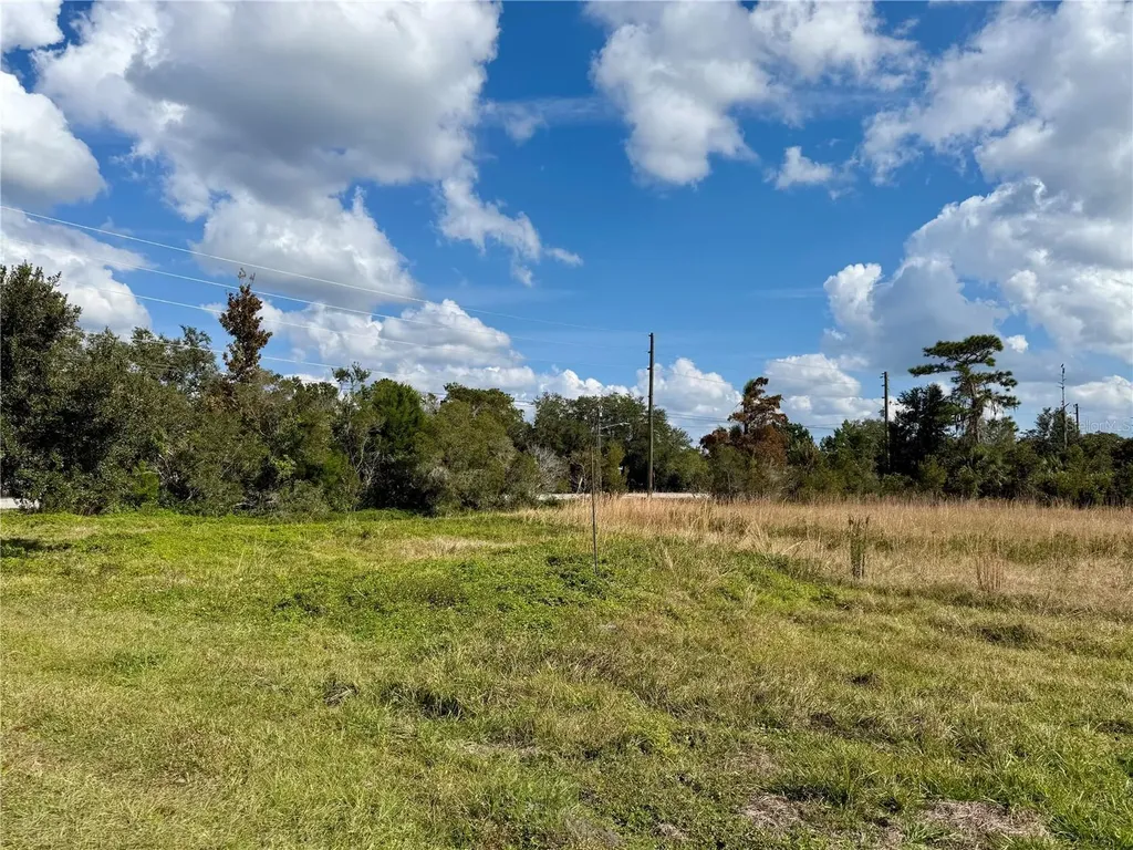Lot 9 Fort Christmas Road Christmas FL 32709