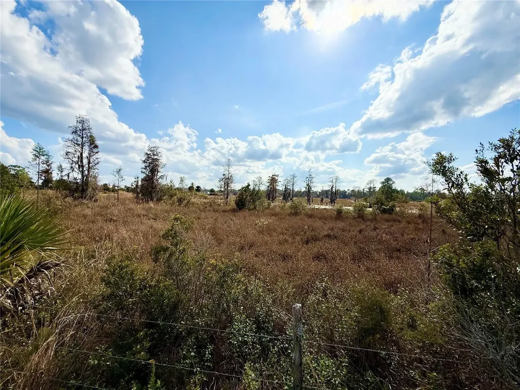 Lot 9 Fort Christmas Road Christmas FL 32709