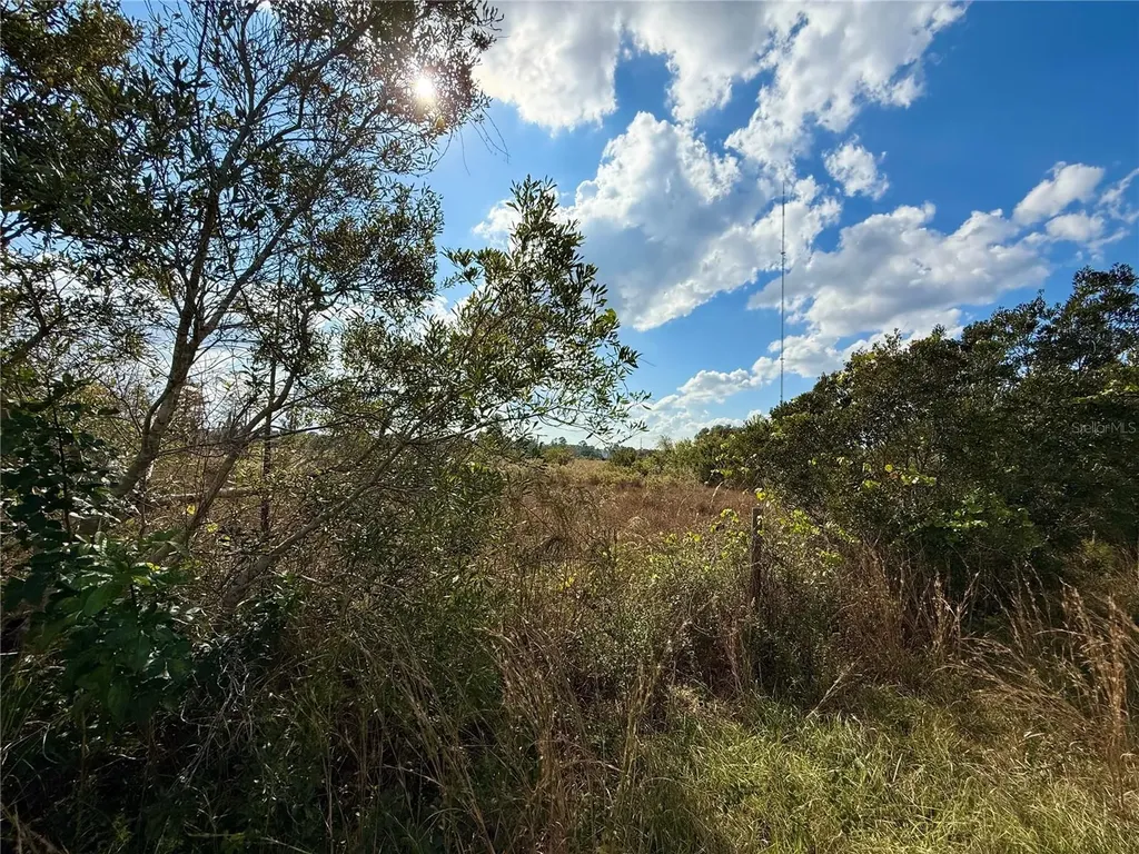 Lot 9 Fort Christmas Road Christmas FL 32709