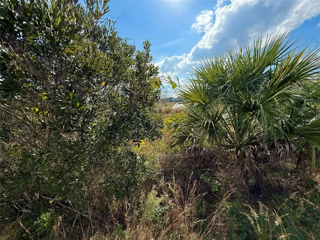Lot 9 Fort Christmas Road Christmas FL 32709