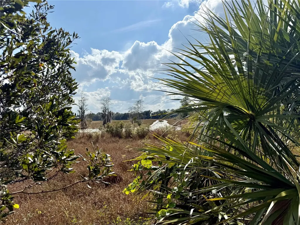 Lot 9 Fort Christmas Road Christmas FL 32709