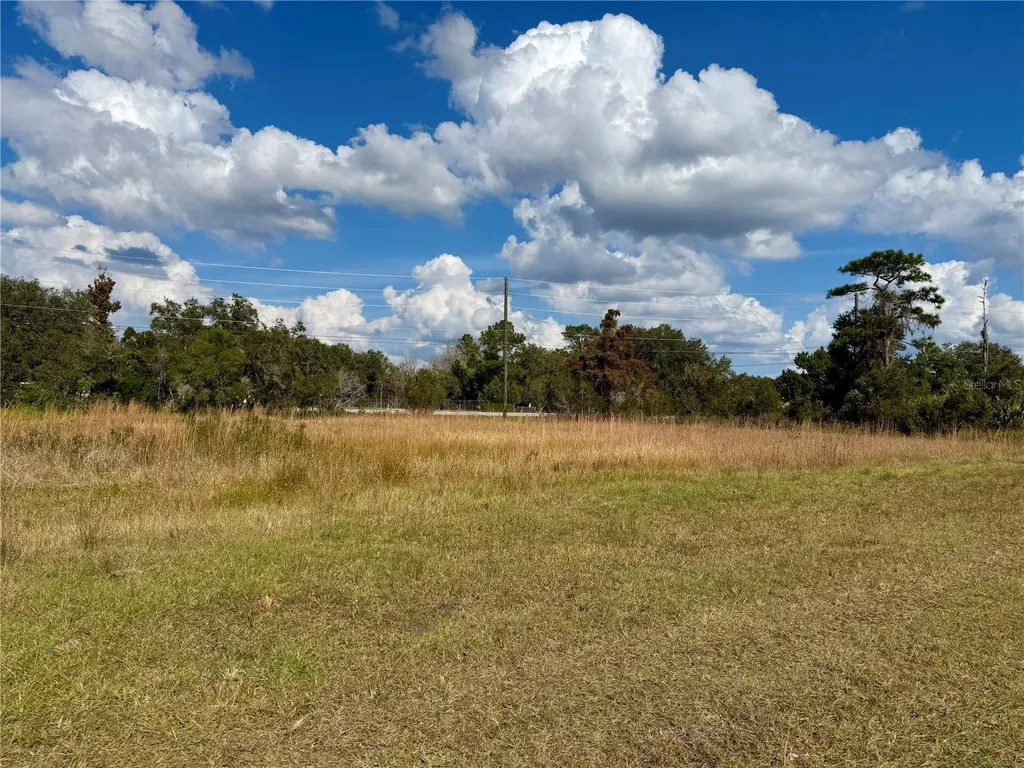 Lot 9 Fort Christmas Road Christmas FL 32709