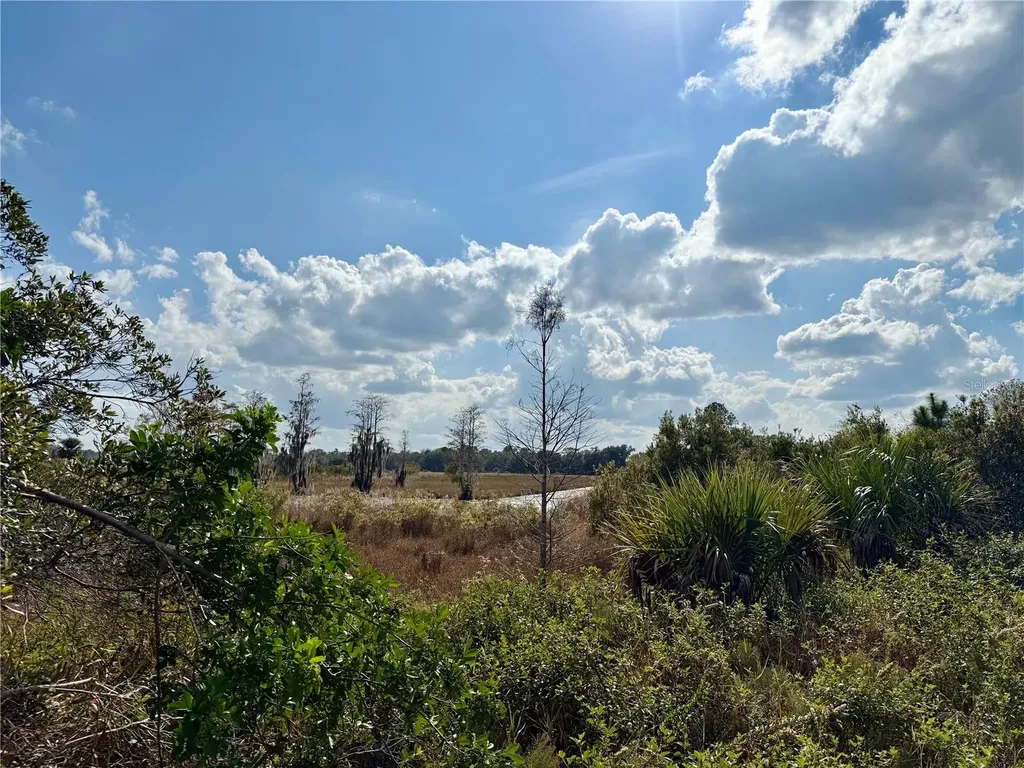 Lot 9 Fort Christmas Road Christmas FL 32709