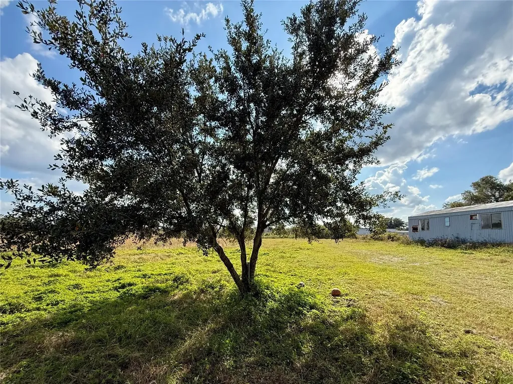 Lot 9 Fort Christmas Road Christmas FL 32709