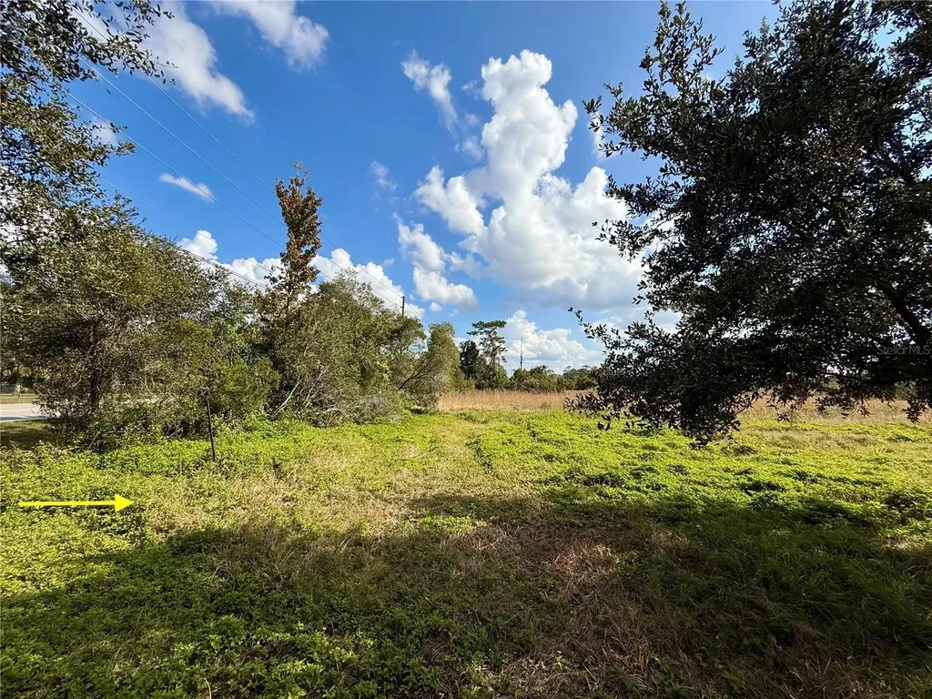 Lot 9 Fort Christmas Road Christmas FL 32709