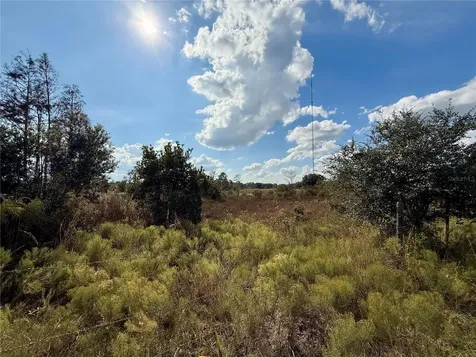 Lot 9 Fort Christmas Road Christmas FL 32709
