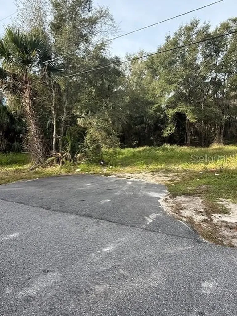 1502 Carver Street Deland FL 32720