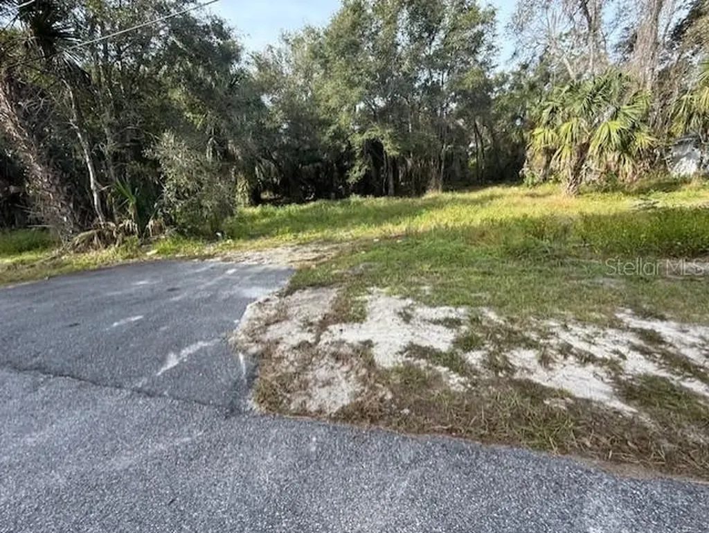 1502 Carver Street Deland FL 32720