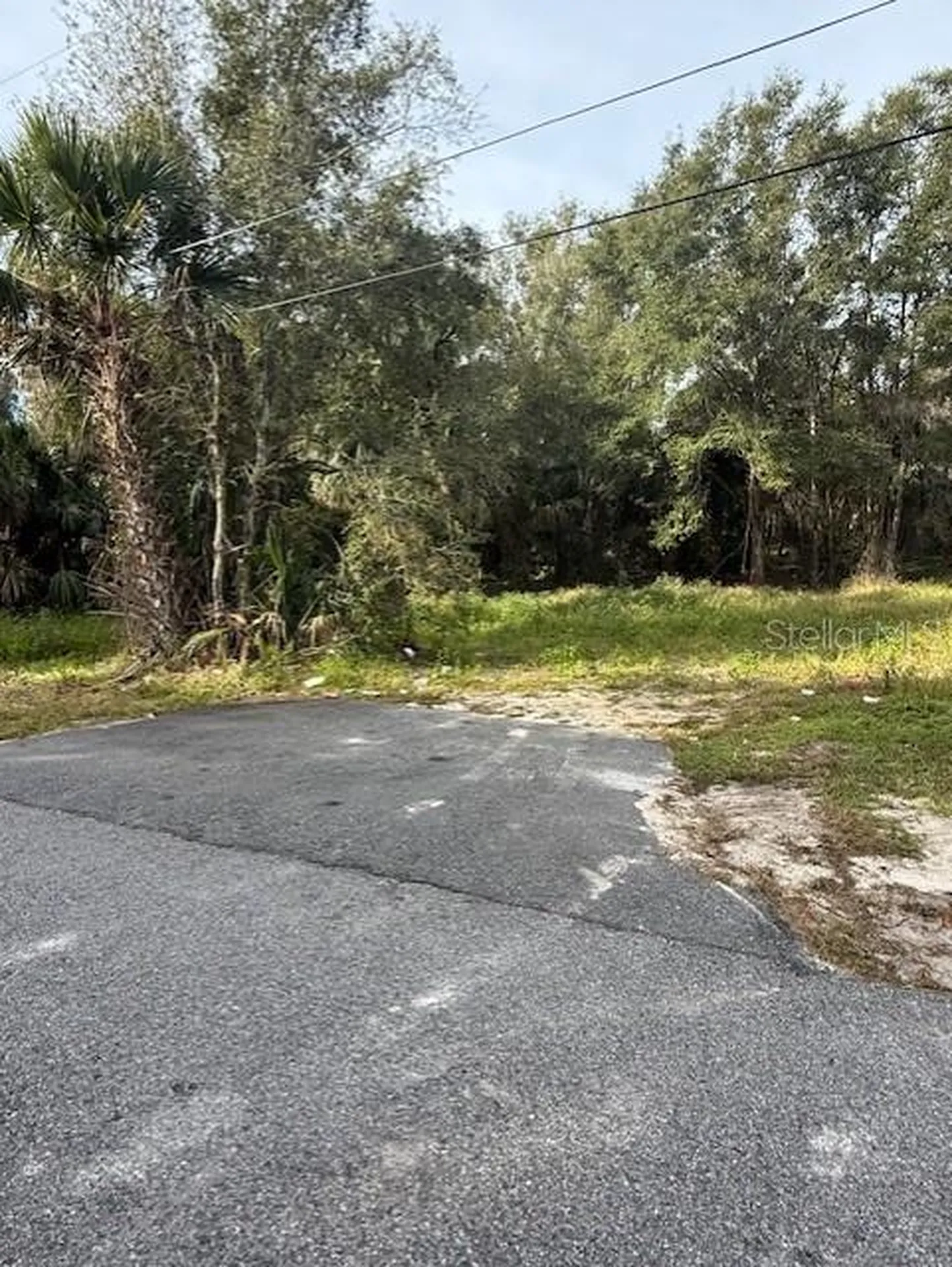 1502 Carver Street Deland FL 32720