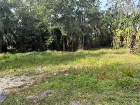 1502 Carver Street Deland FL 32720