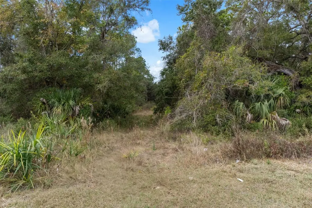 11570 W Garnet Court Crystal River FL 34428