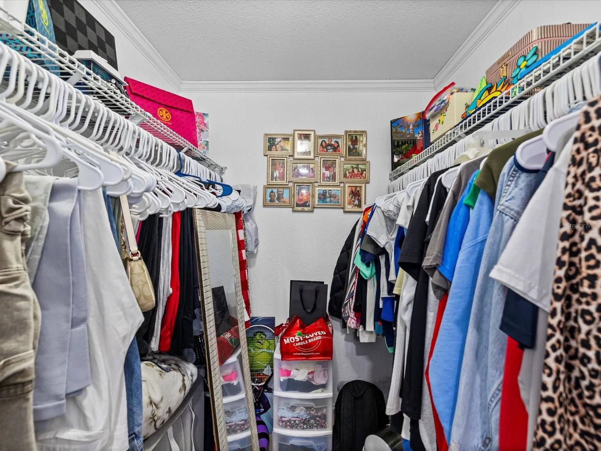 9006 Lunar Lane Port Richey FL 34668