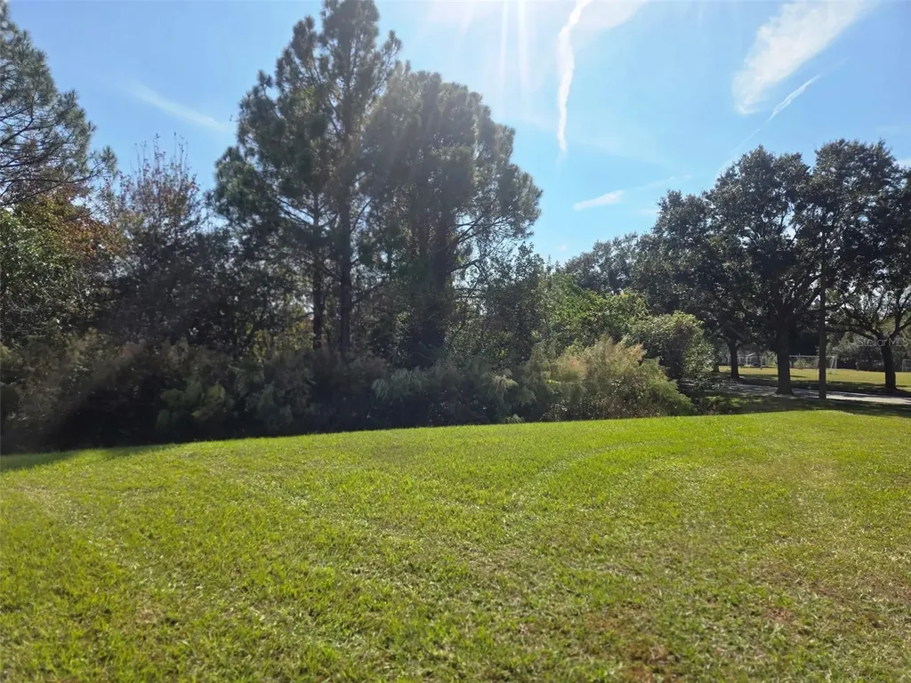 3001 Mandolin Drive Kissimmee FL 34744