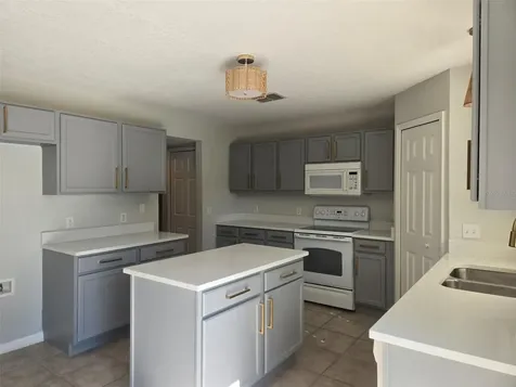 3001 Mandolin Drive Kissimmee FL 34744