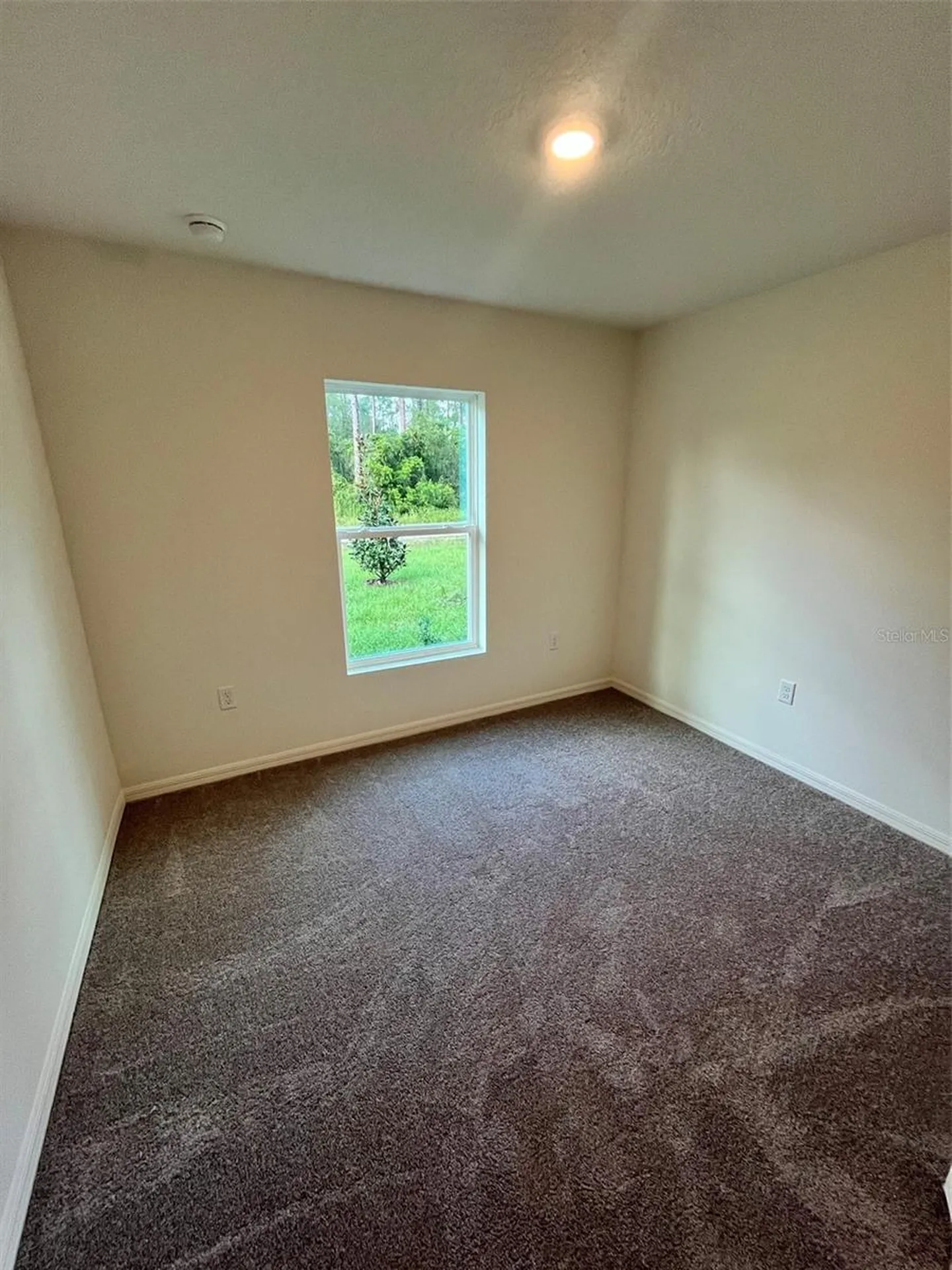 10300 Ruth Avenue Hastings FL 32145