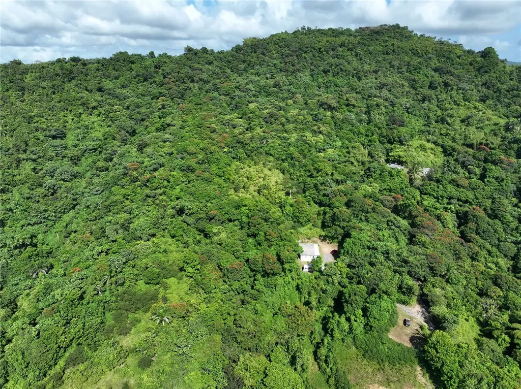 Pr 902 Camino Carlos Diaz San Lorenzo PR 00754