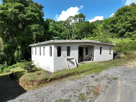 Pr 902 Camino Carlos Diaz San Lorenzo PR 00754